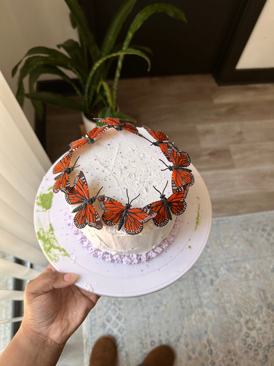 butterfly cake 🦋